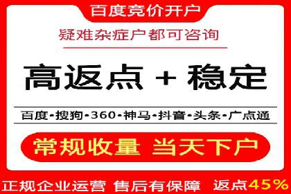 SEM专员案例：数据分析与优化